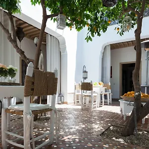 https://riad-les-orangers-dalilia.marrakeshhotelsmorocco.com